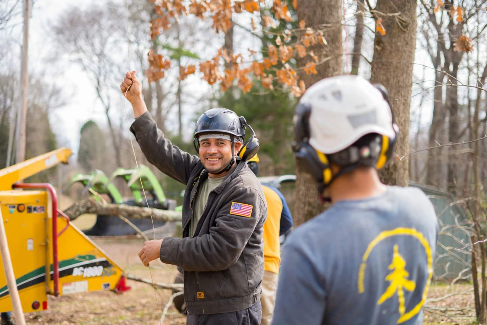 Tree care work in progress