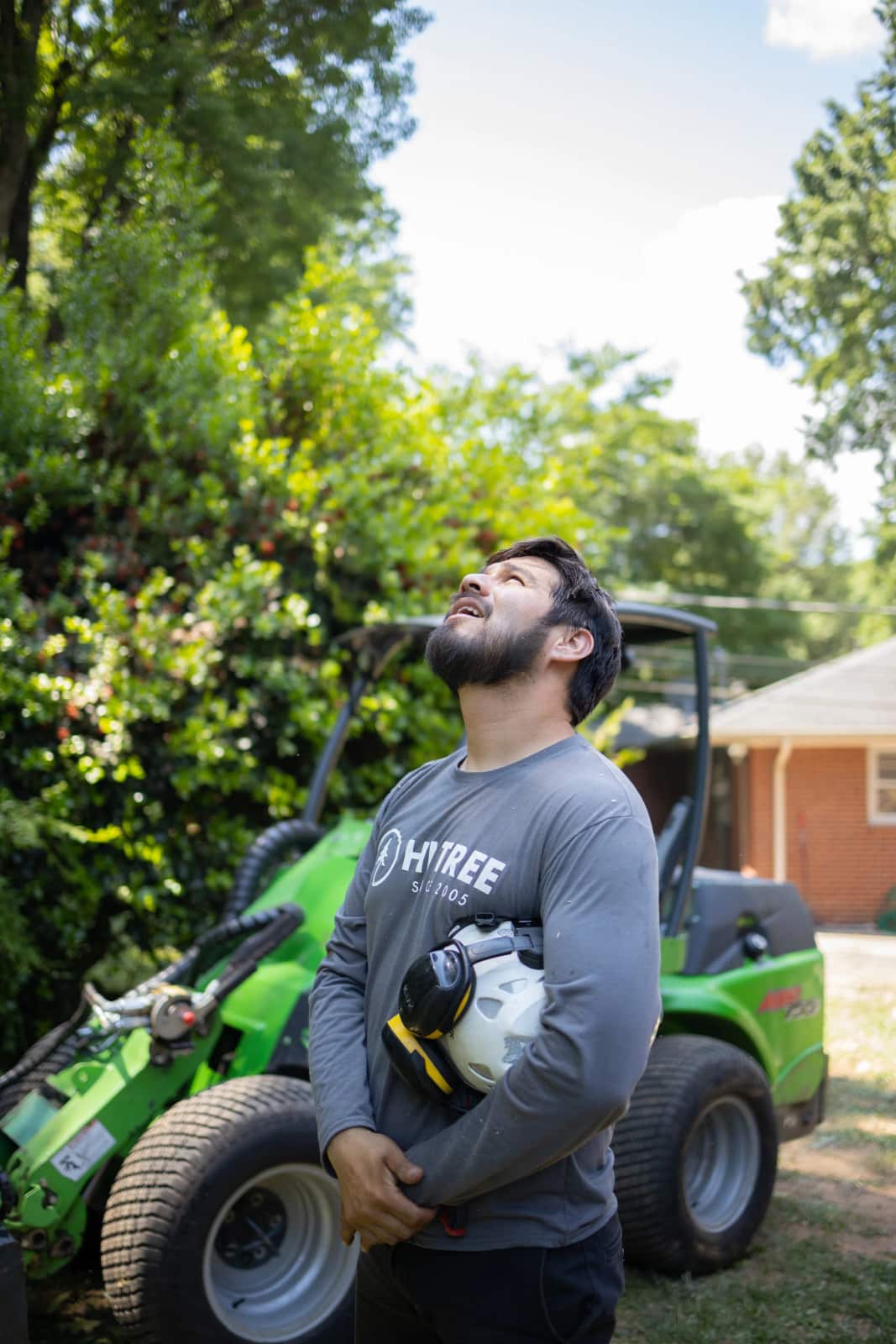 Certified arborist at work