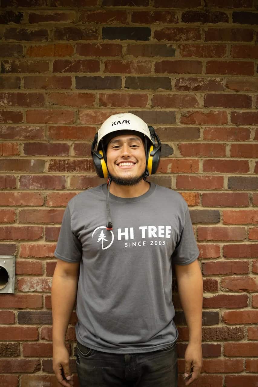Tree service project Charlotte