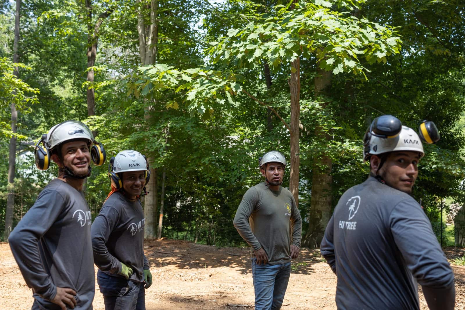 Hi Tree Service team