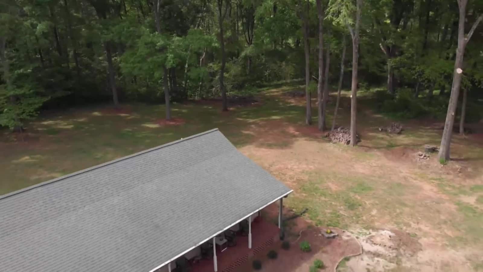 Tree removal project